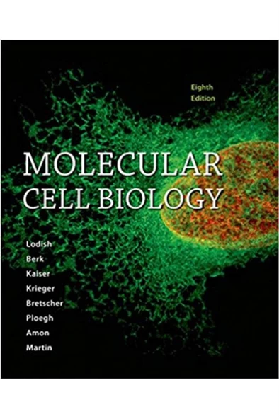 molecular cell biology 8th (lodish, berk, kaiser, krieger, bretscher, ploegh, amon, martin) ürün görseli 1