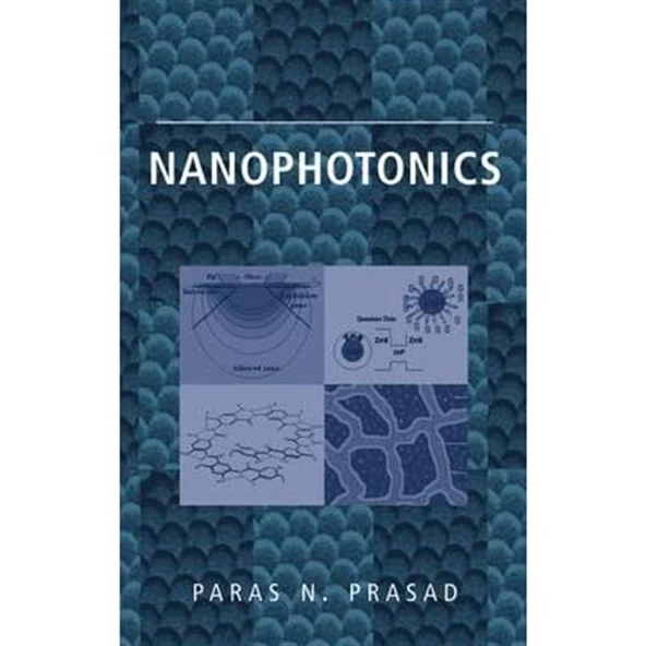 nanophotonics 2004 (paras prasad) ürün görseli 1