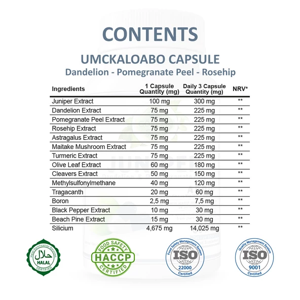 Gökçek Şifa Ardıç Kapsül (JUNİPER CAPSULE) 60 Adet - Resim 2