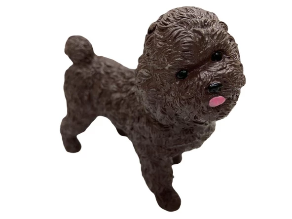 Soft Köpekler - Poodle Cinsi Köpek - E013 - Resim 3