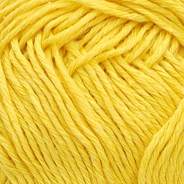 Rozetti Roze-Panç / Sarı / 40103 - Resim 2