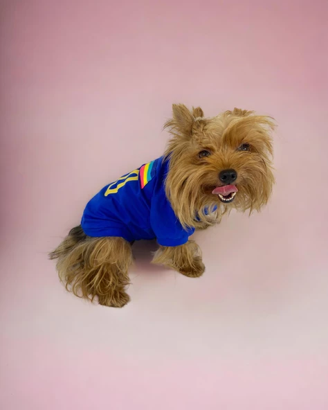 Uno Blue Köpek Tişörtü - Resim 4