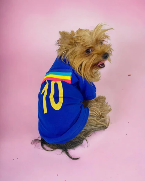 Uno Blue Köpek Tişörtü - Resim 2