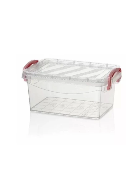 Üçsan UCS401 Mini Kasa Saklama Kabı 21x15x10 Cm 1.6 Lt ürün görseli 1
