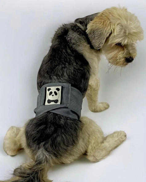 Köpek Çiş Bel Bandı Yıkanabilir Sızdırmaz Köpek Kıyafeti ürün görseli 1