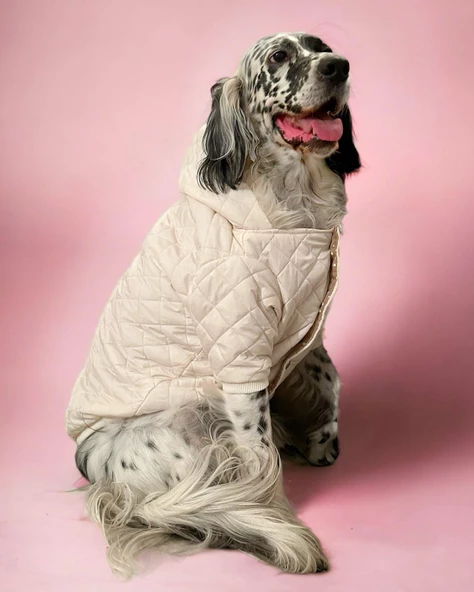 Cream Comfly Köpek Montu, Orta ve Büyük Irklar için ürün görseli 1