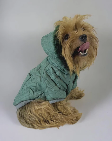 Green Comfy Köpek Montu, Köpek Ceketi, Köpek Dış Giyim ürün görseli 1