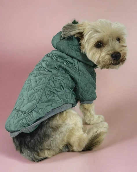 Green Comfie Köpek Montu, Köpek Ceketi, Köpek Dış Giyim ürün görseli 1