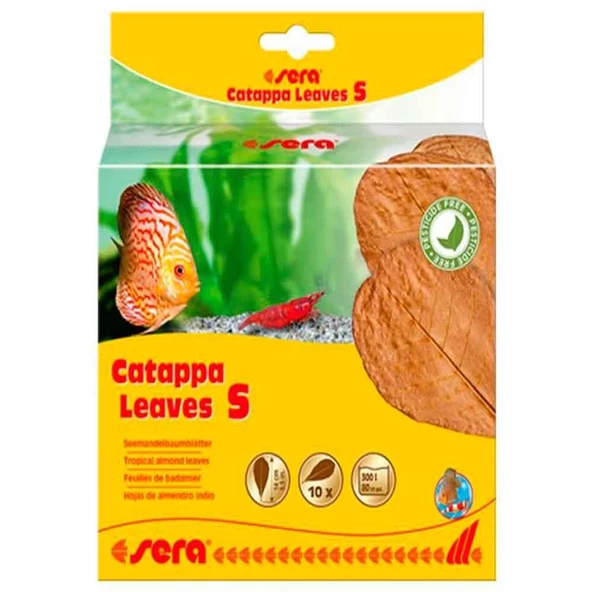 Sera Catappa Yaprağı S 14 Cm 10lu Paket ürün görseli 1