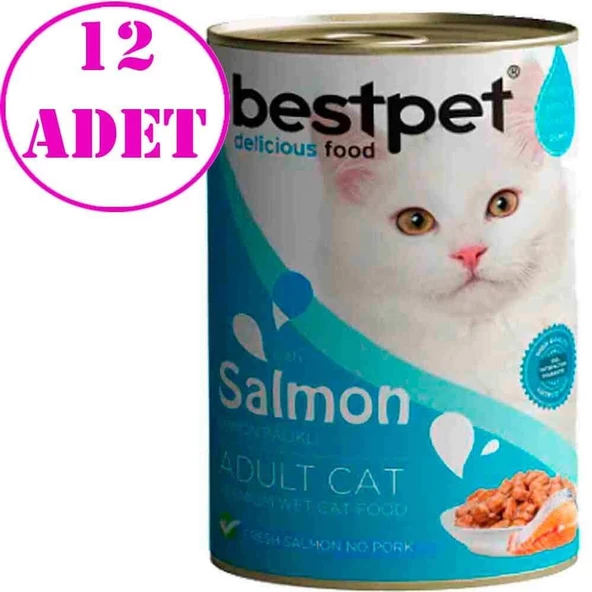 BestPet Kedi Konservesi Somonlu 400gr 12 AD ürün görseli 1