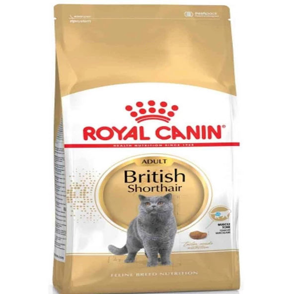 Royal Canin British Shorthair Kedi Maması 4 Kg ürün görseli 1