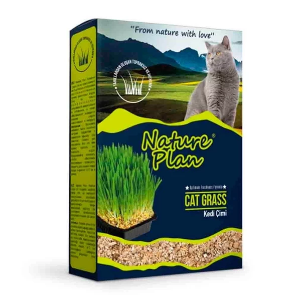 Nature Plan Kedi Çimi - Resim 2