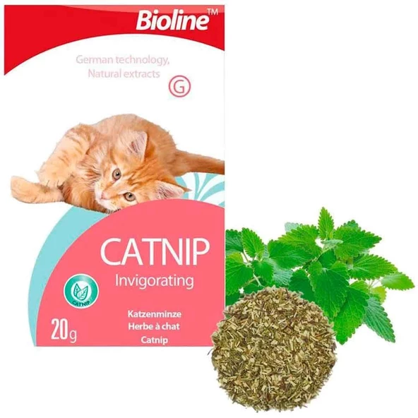 Bioline Catnip Doğal Kedi Nanesi 20 Gr ürün görseli 1