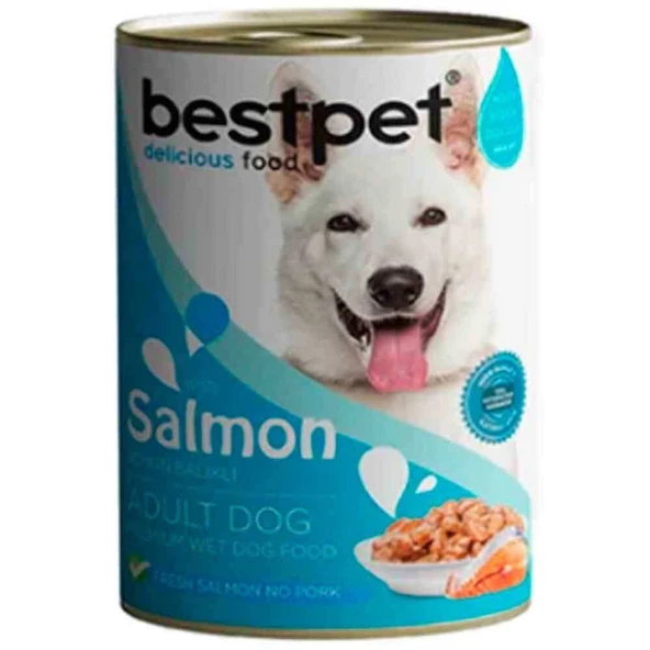BestPet Somonlu Soslu Yetişkin Köpek Konservesi 400gr ürün görseli 1