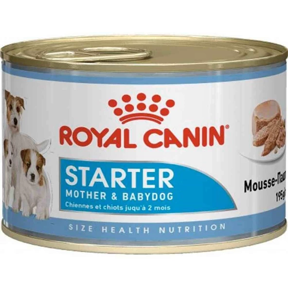 Royal Canin Starter Mousse Yavru Köpek Konservesi 195 Gr ürün görseli 1