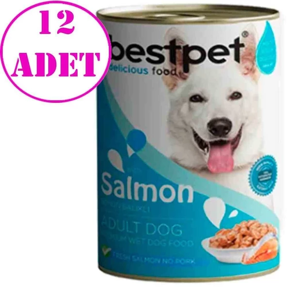 BestPet Somonlu Soslu Yetişkin Köpek Konservesi 400gr 12 AD ürün görseli 1