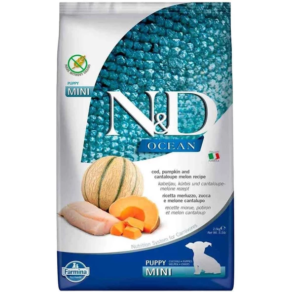 N&D Ocean Morina Balıklı Bal Kabaklı ve Kavunlu Küçük Irk Tahılsız Yavru Köpek Maması 7 Kg ürün görseli 1
