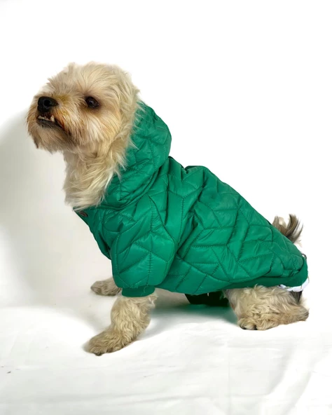 Luxy Green Köpek Montu, Köpek Ceketi, Köpek Dış Giyim ürün görseli 1