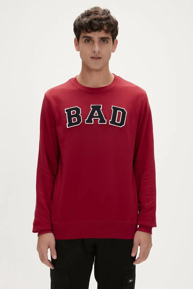 BAD BEAR BAD CONVEX CREWNECK ERKEK SWEATSHIRT ürün görseli 1
