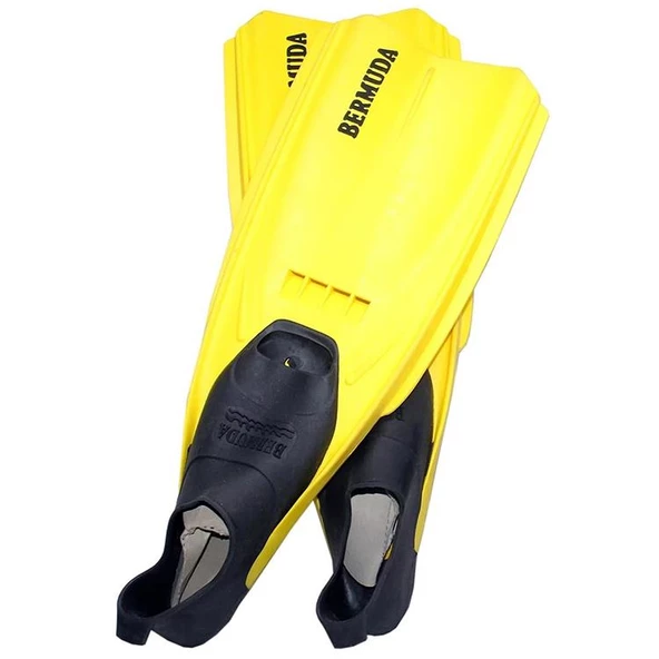 Yüzücü Paleti Bermuda - 30-32 - B571 - Resim 4