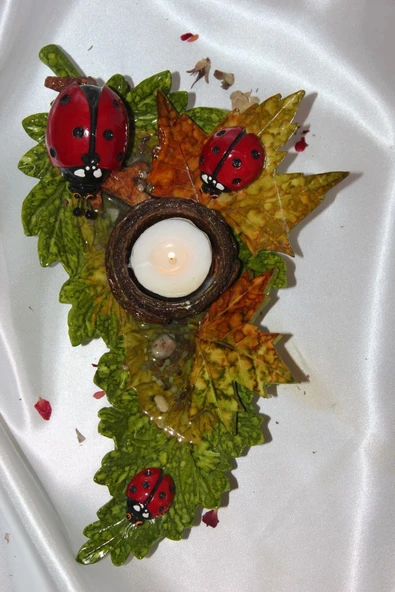 Uğurböceği Yaprak Mumluk - Resim 8