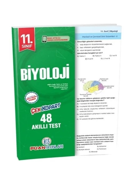 PUAN 11 BİYOLOJİ YT ürün görseli 1