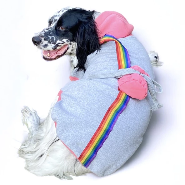 Pocket Rainbow Sweatshirt Orta ve Büyük Irklar İçin ürün görseli 1