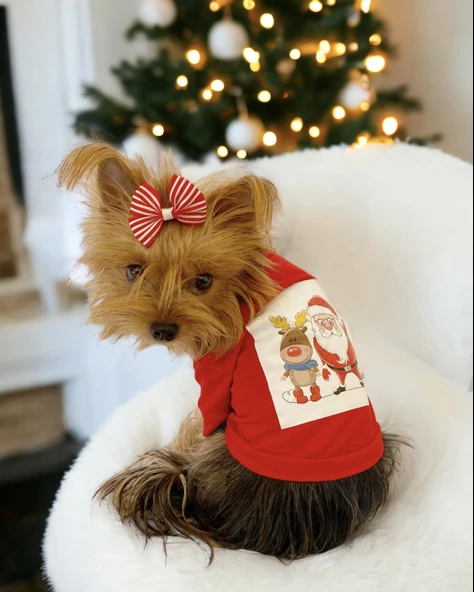 Santa and Friend Rudolph  Köpek Tişörtü Yılbaşı Noel Christmas Köpek Elbisesi ürün görseli 1
