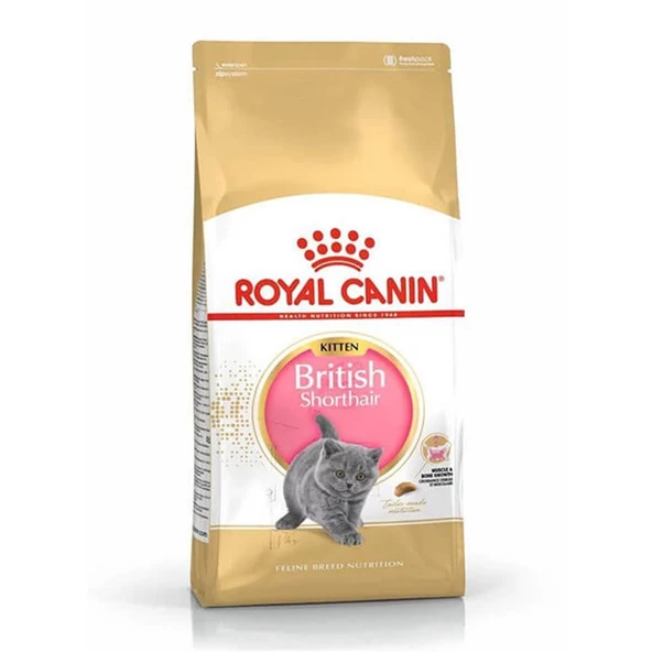 Royal Canin Kitten British Shorthair Yavru Irk Kedi Maması 2 Kg ürün görseli 1