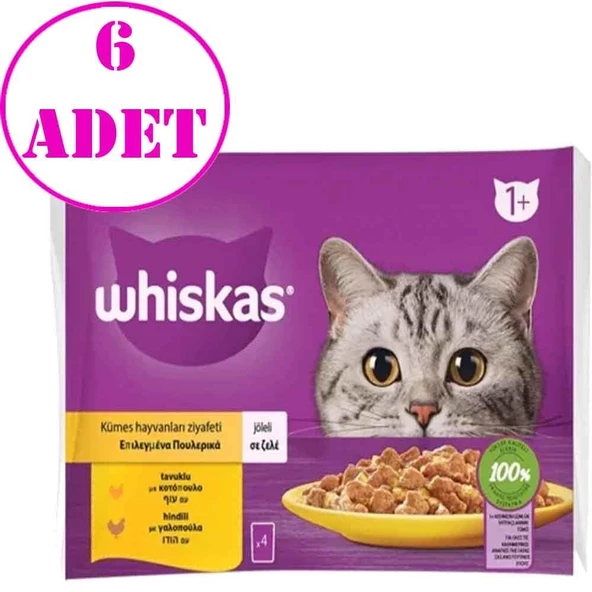 Whiskas Pouch Jöle İçinde Tavuklu ve Hindili Kedi Konservesi 85gr 4Lü PK 6 AD ürün görseli 1