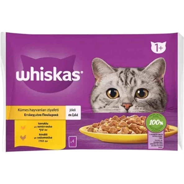 Whiskas Pouch Jöle İçinde Tavuklu ve Hindili Kedi Konservesi 85gr 4Lü PAKET ürün görseli 1