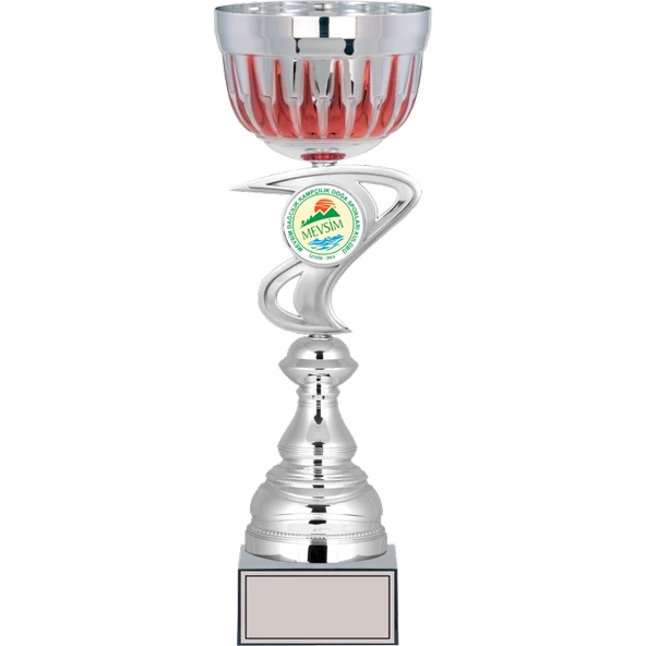 ODAK KUPA - Large Kupalar - L-038 A - 41 cm ürün görseli 1
