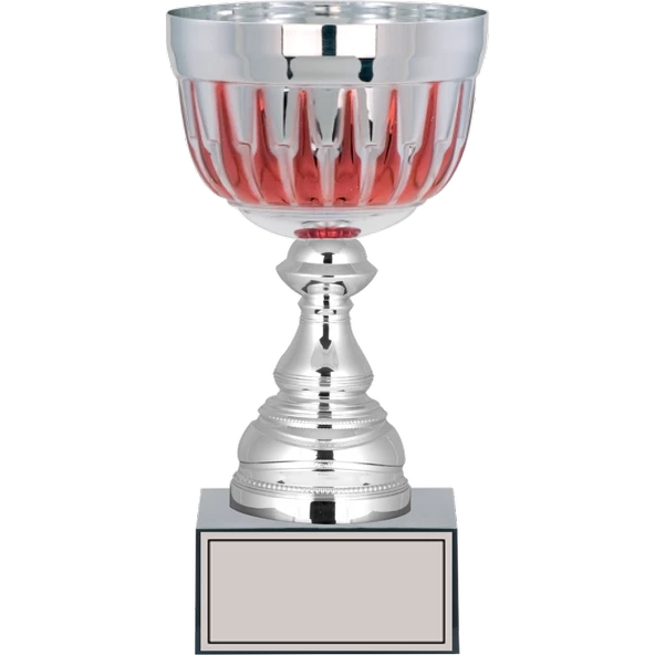 ODAK KUPA - Large Kupalar - L-037 C - 24 cm ürün görseli 1
