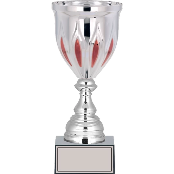 ODAK KUPA - X Large Kupalar - XL-025 C - 29 cm ürün görseli 1