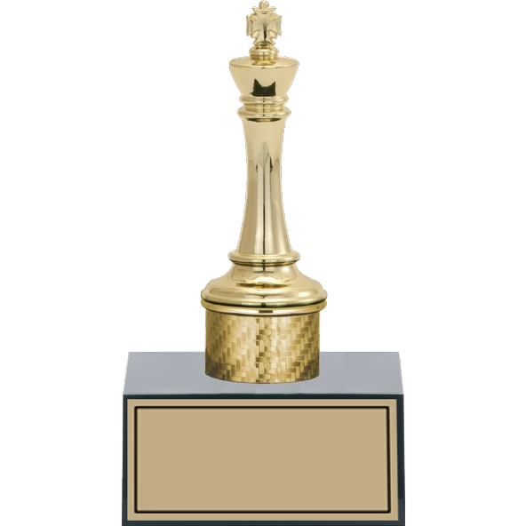 ODAK KUPA - Figürlü Kupalar - Satranç Figürlü Kupalar FG-001 B - 17 cm ürün görseli 1