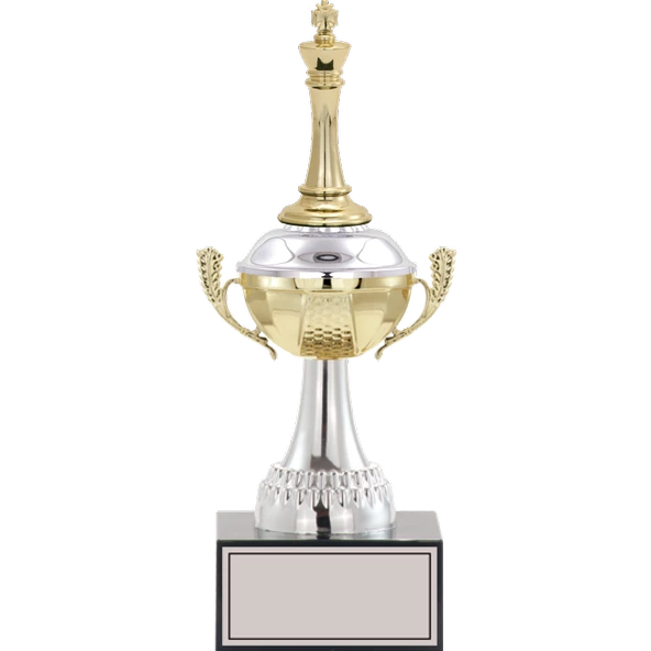 ODAK KUPA - Figürlü Kupalar - Satranç Figürlü Kupalar FG-046 B - 29 cm ürün görseli 1