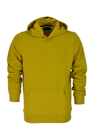 Erkek Kapüşonlu Basic Sweatshirt R2248 BGL-ST03192 - Resim 2