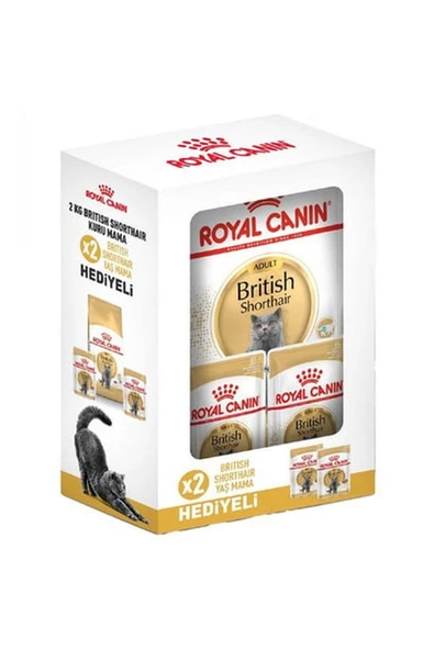 Royal Canin® British Shorthair Yetişkin Kedi Maması 2 Kg + 2 Adet Yaş Mama Hediyeli ürün görseli 1