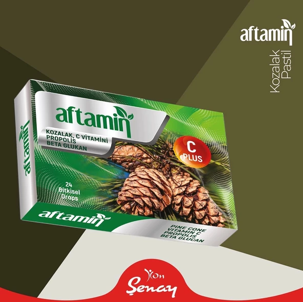 Aftamin Kozalak Pastil - 24 Adet ürün görseli 1