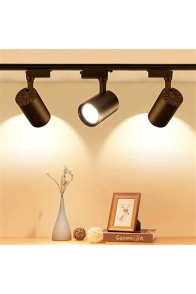 1 Metre Ray 3 Adet Ray Spot Set Siyah Kasa Günışığı Renk 20 W Dekoratif Spot ürün görseli 1