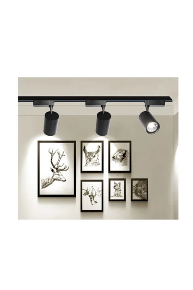 4 Adet 30W Led Ray Spot+1 METRE RAY Vitrin Mağaza Armatürü Siyah Kasa Beyaz Işıklı Led Ray ürün görseli 1
