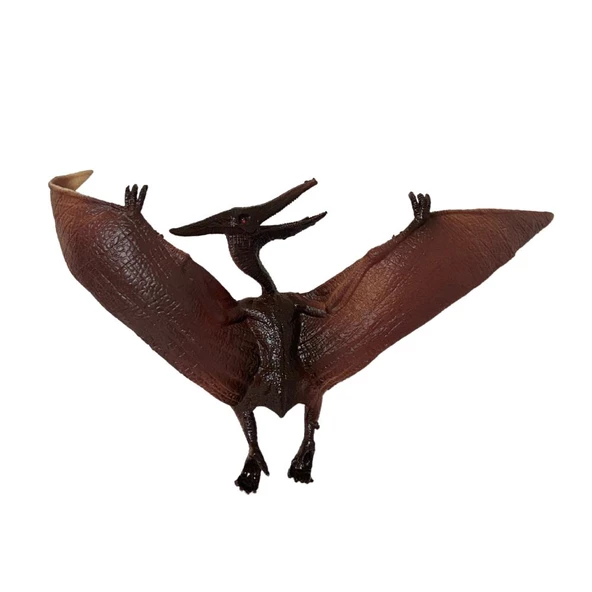 Pterosaur Dinazor 15 Cm - Q603-9 - Resim 2