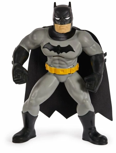 Batman Yüzme Arkadaşları - 6067008 - Resim 4