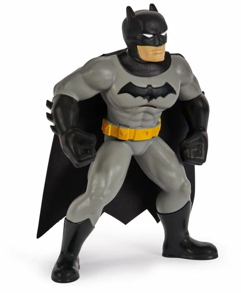 Batman Yüzme Arkadaşları - 6067008 - Resim 3