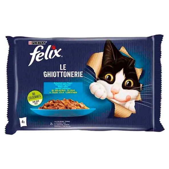 Felix Multipack Somonlu ve Ton Balıklı Yetişkin Kedi Yaş Maması 4x85 Gr ürün görseli 1