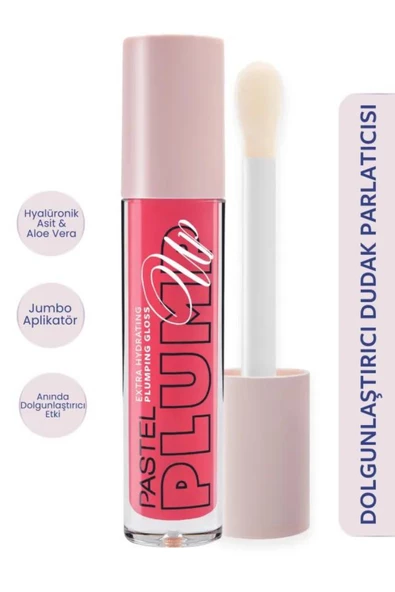 Plump Up Extra Hydrating Plumping Gloss - Dolgunlaştıran Dudak Parlatıcısı 204 Spicy Sweet ürün görseli 1