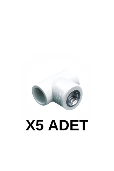 PPRC İç Dişli Te 20 3/4 5 Adet ürün görseli 1