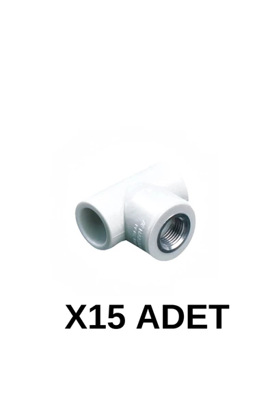 PPRC İç Dişli Te 20 3/4 15 Adet ürün görseli 1
