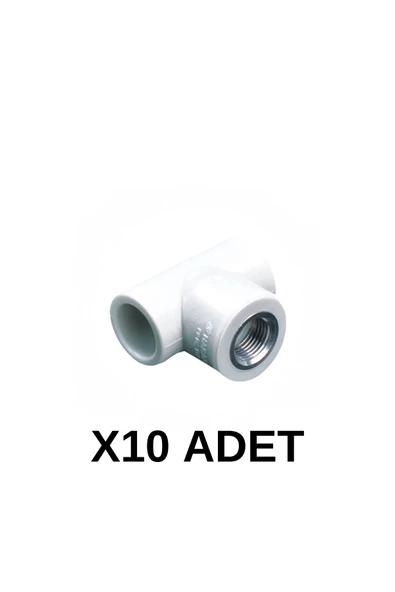 PPRC İç Dişli Te 20 3/4 10 Adet ürün görseli 1