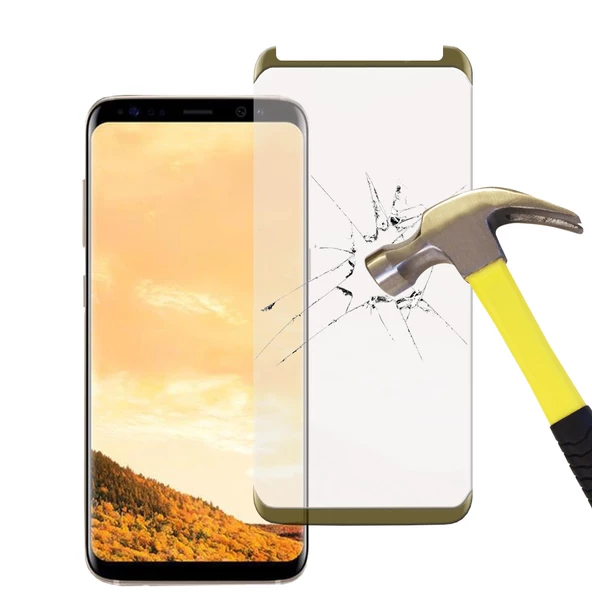 Samsung Galaxy S8 Tam Kaplayan Kavisli Cam Ekran Koruyucu ürün görseli 1